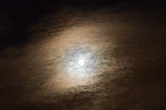 fullmoon 038